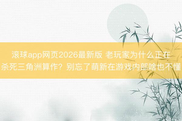 滚球app网页2026最新版 老玩家为什么正在杀死三角洲算作？别忘了萌新在游戏内部啥也不懂