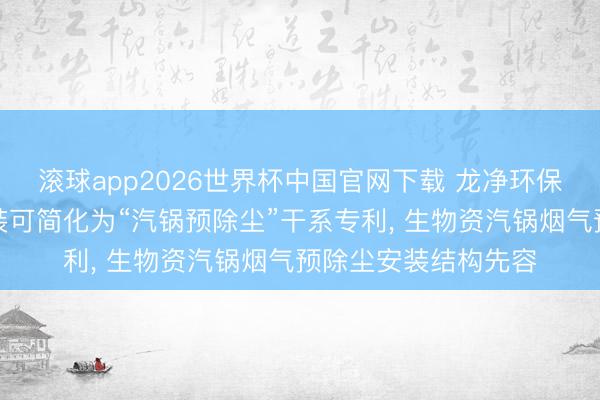 滚球app2026世界杯中国官网下载 龙净环保获得汽锅预除尘安装可简化为“汽锅预除尘”干系专利, 生物资汽锅烟气预除尘安装结构先容