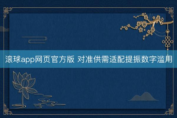 滚球app网页官方版 对准供需适配提振数字滥用