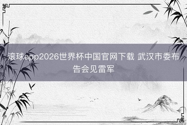 滚球app2026世界杯中国官网下载 武汉市委布告会见雷军