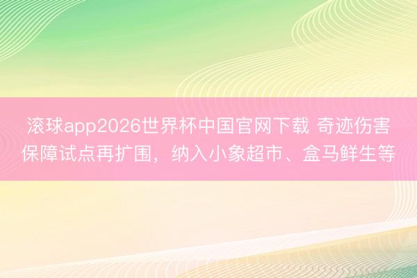 滚球app2026世界杯中国官网下载 奇迹伤害保障试点再扩围，纳入小象超市、盒马鲜生等